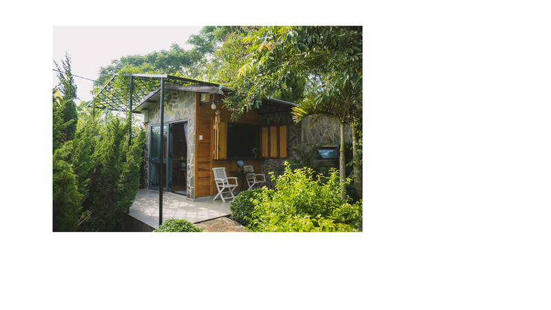 https://files.locallife.asia/images/800/1778211398850-Anh sen 3.png